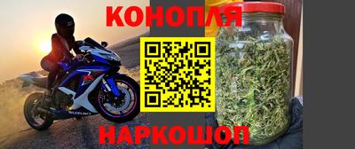 ГАЛЛЮЦИНОГЕННЫЕ ГРИБЫ Кулебаки