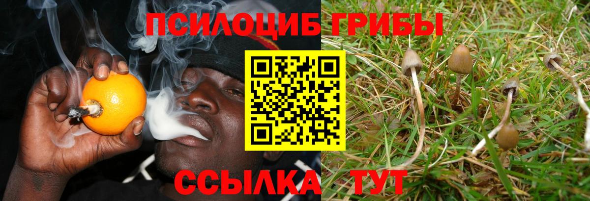 Псилоцибиновые грибы мухоморы Каменка