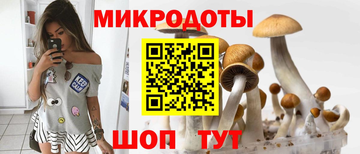 Каменка  Псилоцибиновые грибы Psilocybine cubensis  Вход с VPN 